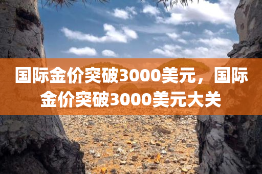 国际金价突破3000美元，国际金价突破3000美元大关