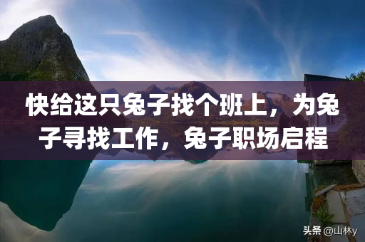 快给这只兔子找个班上，为兔子寻找工作，兔子职场启程