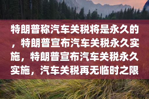 特朗普称汽车关税将是永久的，特朗普宣布汽车关税永久实施，特朗普宣布汽车关税永久实施，汽车关税再无临时之限
