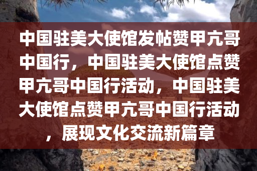 中国驻美大使馆发帖赞甲亢哥中国行，中国驻美大使馆点赞甲亢哥中国行活动，中国驻美大使馆点赞甲亢哥中国行活动，展现文化交流新篇章