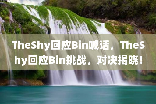 TheShy回应Bin喊话，TheShy回应Bin挑战，对决揭晓！