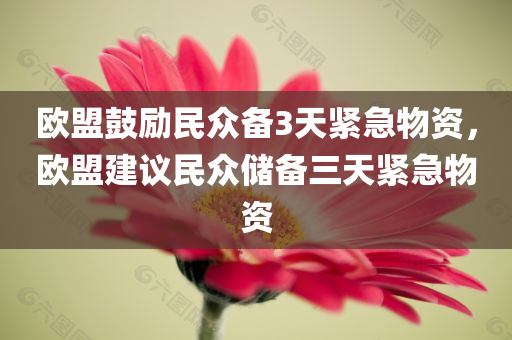 欧盟鼓励民众备3天紧急物资，欧盟建议民众储备三天紧急物资