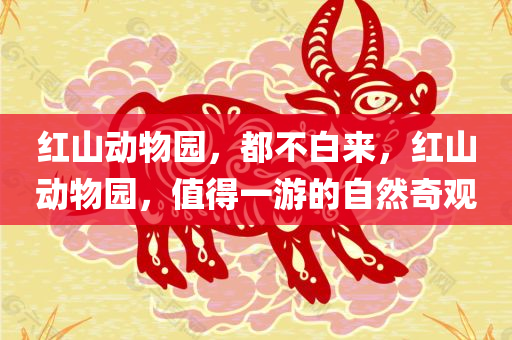 红山动物园，都不白来，红山动物园，值得一游的自然奇观