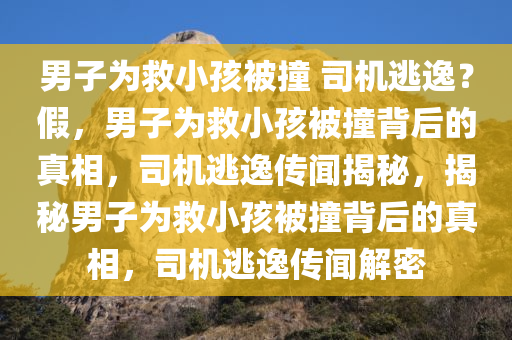 男子为救小孩被撞 司机逃逸？假，男子为救小孩被撞背后的真相，司机逃逸传闻揭秘，揭秘男子为救小孩被撞背后的真相，司机逃逸传闻解密