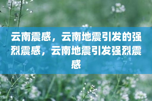 云南震感，云南地震引发的强烈震感，云南地震引发强烈震感