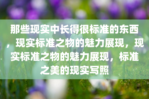 那些现实中长得很标准的东西，现实标准之物的魅力展现，现实标准之物的魅力展现，标准之美的现实写照