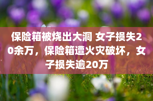 保险箱被烧出大洞 女子损失20余万，保险箱遭火灾破坏，女子损失逾20万