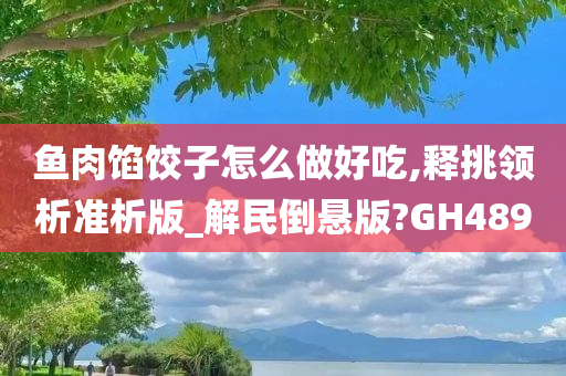 鱼肉馅饺子怎么做好吃,释挑领析准析版_解民倒悬版?GH489