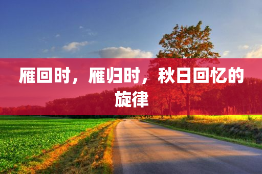 雁回时，雁归时，秋日回忆的旋律