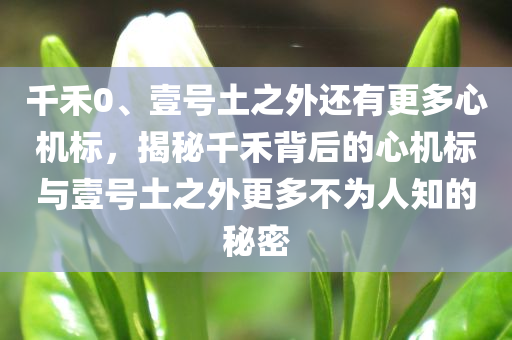 千禾0、壹号土之外还有更多心机标，揭秘千禾背后的心机标与壹号土之外更多不为人知的秘密