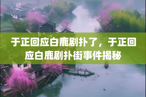 于正回应白鹿剧扑了，于正回应白鹿剧扑街事件揭秘，于正回应白鹿剧扑街事件，真相揭秘与反思