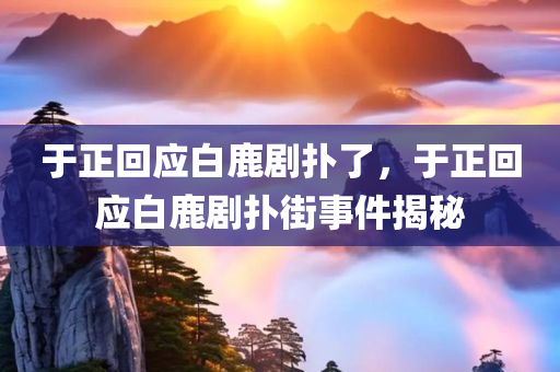 于正回应白鹿剧扑了，于正回应白鹿剧扑街事件揭秘，于正回应白鹿剧扑街事件，真相揭秘与反思