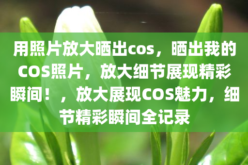 用照片放大晒出cos，晒出我的COS照片，放大细节展现精彩瞬间！，放大展现COS魅力，细节精彩瞬间全记录