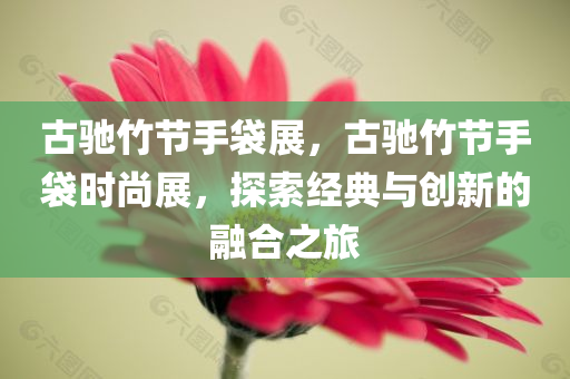 古驰竹节手袋展，古驰竹节手袋时尚展，探索经典与创新的融合之旅