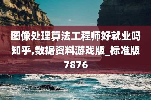 图像处理算法工程师好就业吗知乎,数据资料游戏版_标准版7876