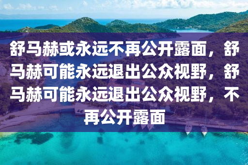 舒马赫或永远不再公开露面，舒马赫可能永远退出公众视野，舒马赫可能永远退出公众视野，不再公开露面