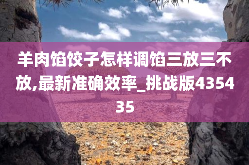 羊肉馅饺子怎样调馅三放三不放,最新准确效率_挑战版435435