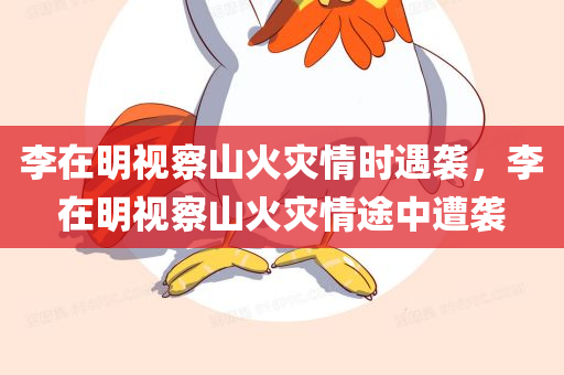 李在明视察山火灾情时遇袭，李在明视察山火灾情途中遭袭