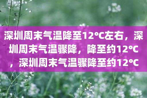 深圳周末气温降至12℃左右，深圳周末气温骤降，降至约12℃，深圳周末气温骤降至约12℃