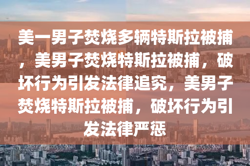 美一男子焚烧多辆特斯拉被捕，美男子焚烧特斯拉被捕，破坏行为引发法律追究，美男子焚烧特斯拉被捕，破坏行为引发法律严惩