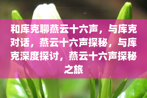 和库克聊燕云十六声，与库克对话，燕云十六声探秘，与库克深度探讨，燕云十六声探秘之旅