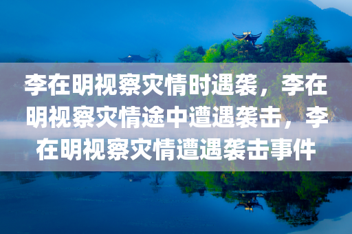 李在明视察灾情时遇袭，李在明视察灾情途中遭遇袭击，李在明视察灾情遭遇袭击事件