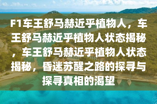 F1车王舒马赫近乎植物人，车王舒马赫近乎植物人状态揭秘，车王舒马赫近乎植物人状态揭秘，昏迷苏醒之路的探寻与探寻真相的渴望
