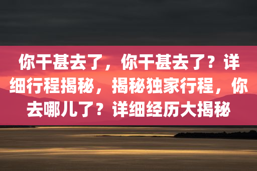 你干甚去了，你干甚去了？详细行程揭秘，揭秘独家行程，你去哪儿了？详细经历大揭秘