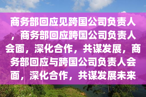商务部回应见跨国公司负责人，商务部回应跨国公司负责人会面，深化合作，共谋发展，商务部回应与跨国公司负责人会面，深化合作，共谋发展未来