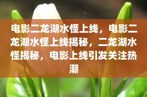 电影二龙湖水怪上线，电影二龙湖水怪上线揭秘，二龙湖水怪揭秘，电影上线引发关注热潮