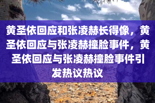 黄圣依回应和张凌赫长得像，黄圣依回应与张凌赫撞脸事件，黄圣依回应与张凌赫撞脸事件引发热议热议
