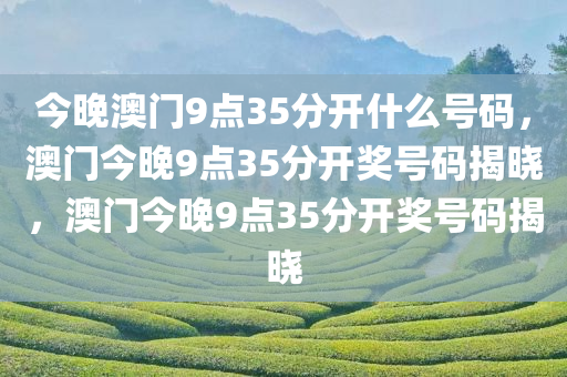 今晚澳门9点35分开什么号码，澳门今晚9点35分开奖号码揭晓，澳门今晚9点35分开奖号码揭晓