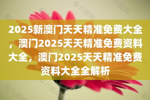 2025新澳门天天精准免费大全，澳门2025天天精准免费资料大全，澳门2025天天精准免费资料大全全解析