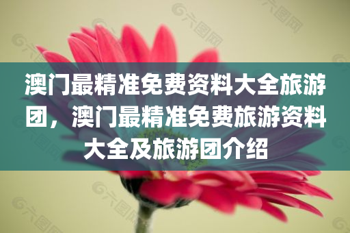 澳门最精准免费资料大全旅游团，澳门最精准免费旅游资料大全及旅游团介绍