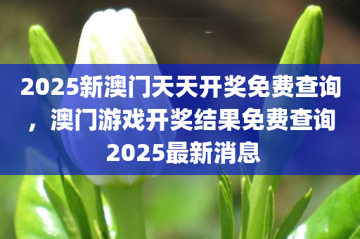 2025新澳门天天开奖免费查询，澳门游戏开奖结果免费查询 2025最新消息