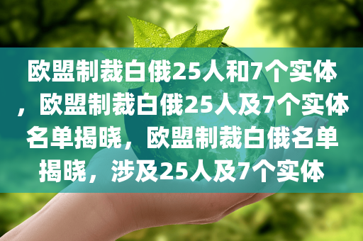 欧盟制裁白俄25人和7个实体，欧盟制裁白俄25人及7个实体名单揭晓，欧盟制裁白俄名单揭晓，涉及25人及7个实体