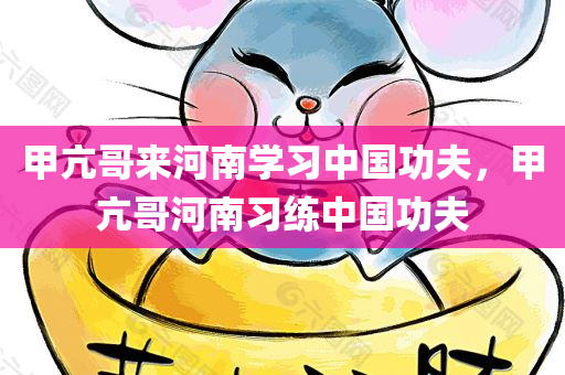 甲亢哥来河南学习中国功夫，甲亢哥河南习练中国功夫