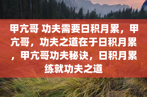 甲亢哥 功夫需要日积月累，甲亢哥，功夫之道在于日积月累，甲亢哥功夫秘诀，日积月累练就功夫之道