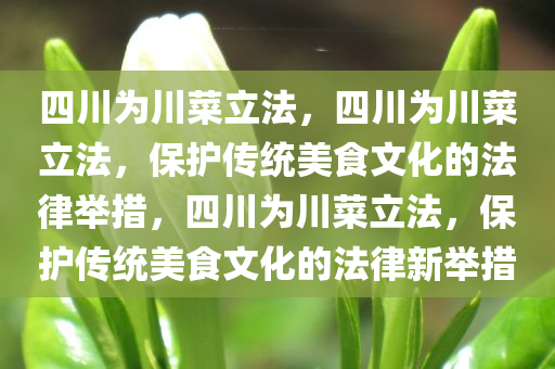 四川为川菜立法，四川为川菜立法，保护传统美食文化的法律举措，四川为川菜立法，保护传统美食文化的法律新举措
