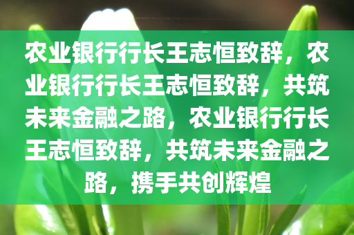 农业银行行长王志恒致辞，农业银行行长王志恒致辞，共筑未来金融之路，农业银行行长王志恒致辞，共筑未来金融之路，携手共创辉煌