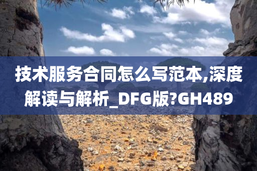 技术服务合同怎么写范本,深度解读与解析_DFG版?GH489