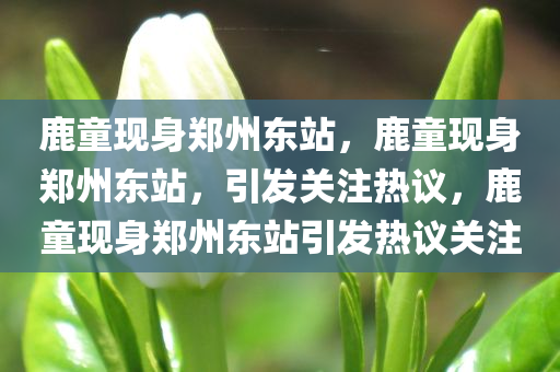鹿童现身郑州东站，鹿童现身郑州东站，引发关注热议，鹿童现身郑州东站引发热议关注