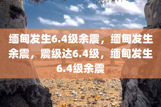 缅甸发生6.4级余震，缅甸发生余震，震级达6.4级，缅甸发生6.4级余震