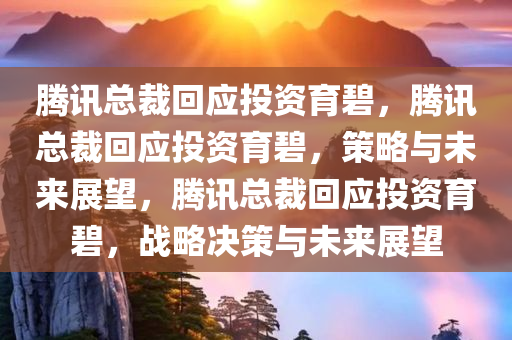 腾讯总裁回应投资育碧，腾讯总裁回应投资育碧，策略与未来展望，腾讯总裁回应投资育碧，战略决策与未来展望