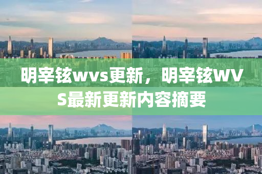 明宰铉wvs更新，明宰铉WVS最新更新内容摘要