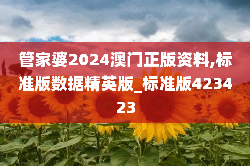 管家婆2024澳门正版资料,标准版数据精英版_标准版423423