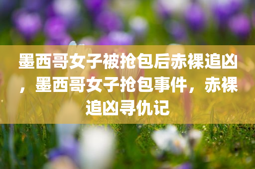 墨西哥女子被抢包后赤裸追凶，墨西哥女子抢包事件，赤裸追凶寻仇记
