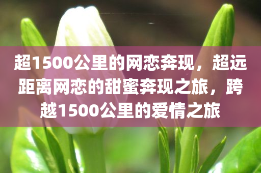 超1500公里的网恋奔现，超远距离网恋的甜蜜奔现之旅，跨越1500公里的爱情之旅