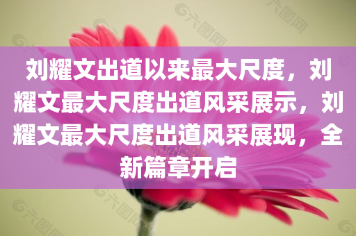 刘耀文出道以来最大尺度，刘耀文最大尺度出道风采展示，刘耀文最大尺度出道风采展现，全新篇章开启