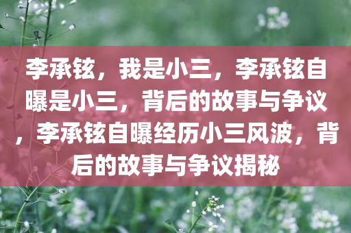 李承铉，我是小三，李承铉自曝是小三，背后的故事与争议，李承铉自曝经历小三风波，背后的故事与争议揭秘